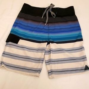 Trinity Striped Boardshorts White Blue Aqua Stripe Ombre Men's 30